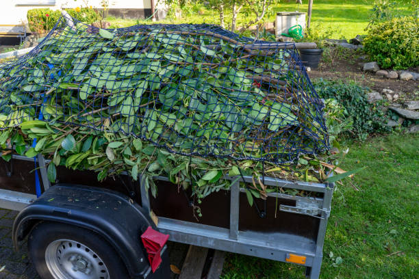 Best Shed Removal  in Interlachen, FL